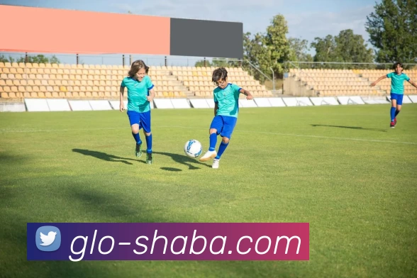 沙巴官方网站平台生态图